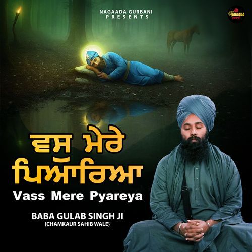 Vass Mere Pyareya