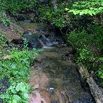 chanting at a babbling brook
