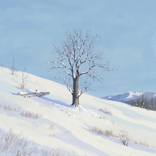 nothing is forever, it's only a lifetime