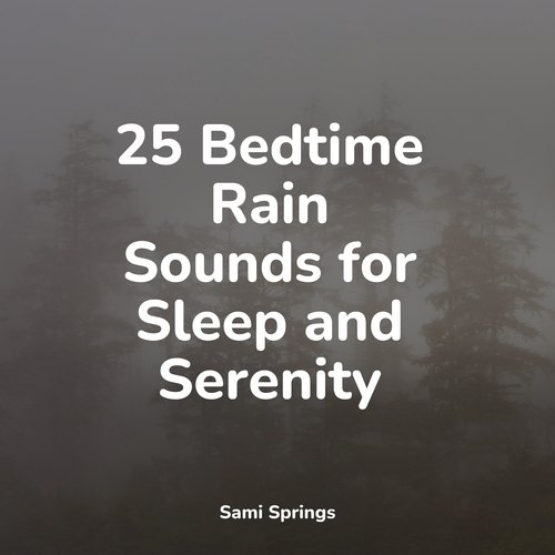 Rain, Storm and Thunder cover art