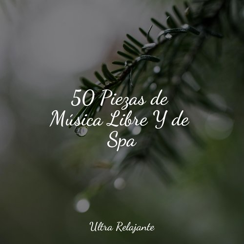 50 Piezas de Música Libre Y de Spa_poster_image