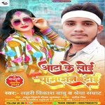 Aata Ke Loi Chamaran Toi