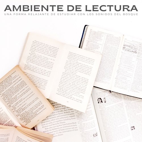 Concentración cover art