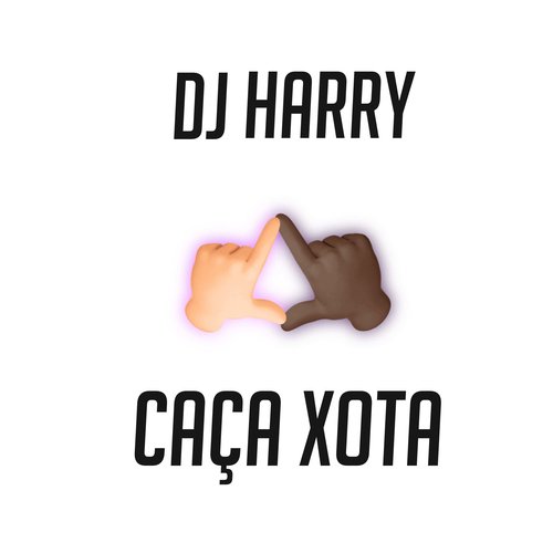 CAÇA XOTA_poster_image