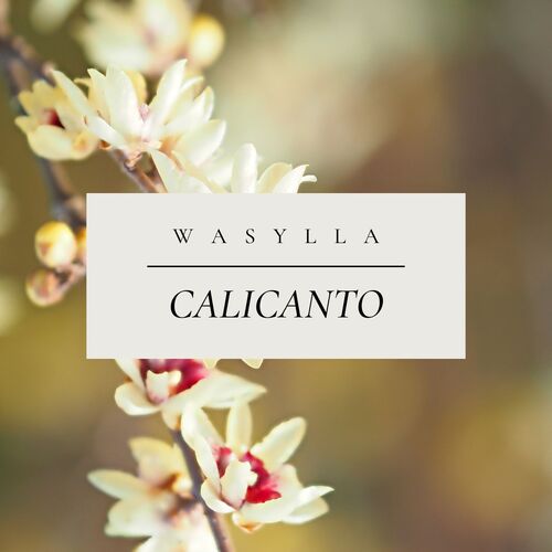 Calicanto cover art