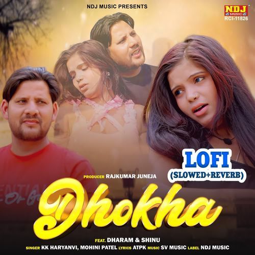 Dhokha Lofi (Slowed + Reverb)