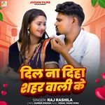 Dil Na Diha Sahar Wali Ke (Feat. Shidhi Yadav)
