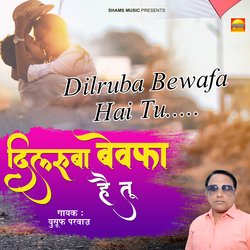 Dilruba Bewafa Hai Tu-GTw5AjdBXAs