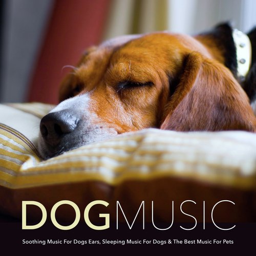 Soothing Sleeping Music for Dogs