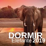 Dormir Elefante artwork