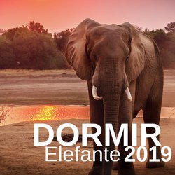 Ambientes Naturales Relajantes by Saco De Dormir