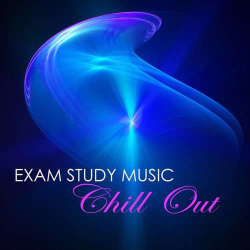 Exam Study Music Chill Out Brain Gym - Concentration Reading Chillout Music Playlist