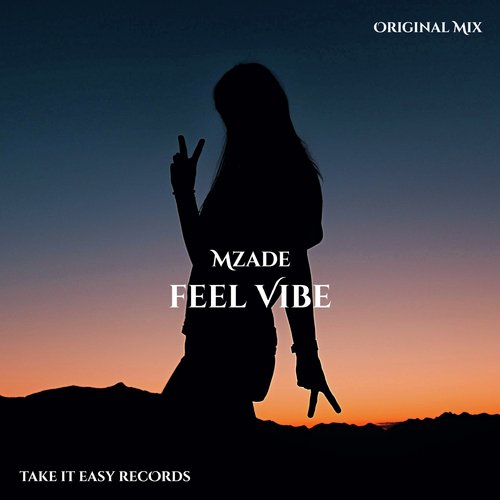 Feel Vibe cover art