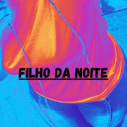 Filho Da Noite (feat. MC Ryan Sp and Chefin)_poster_image