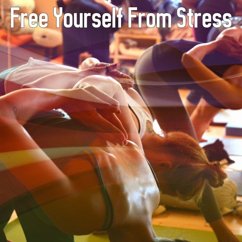 Free Yourself From Stress