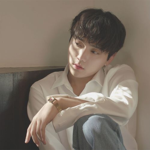 I have someone I like (Instrumental)