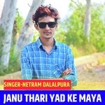 Janu Thari yad ke maya