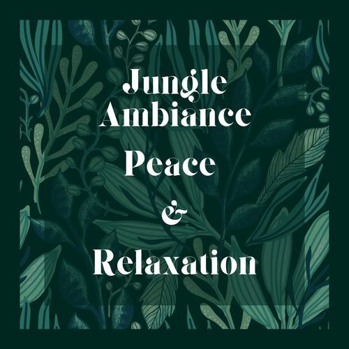 Jungle Sounds for Relaxed Meditation