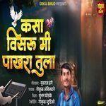 Kasa Visaru Mi Pakhara Tula