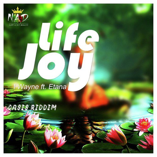 Life Joy_poster_image