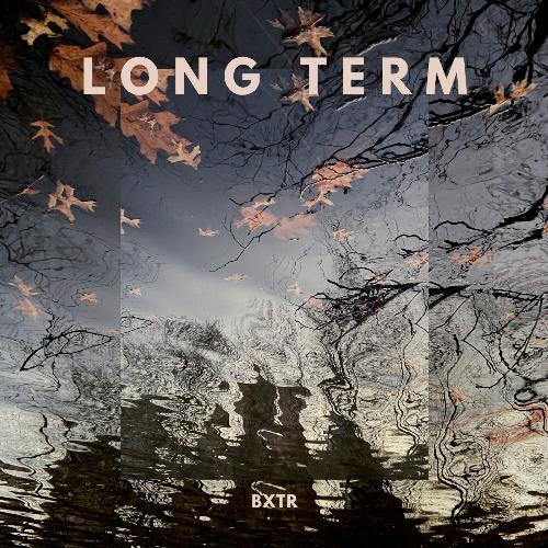 Long Term_poster_image