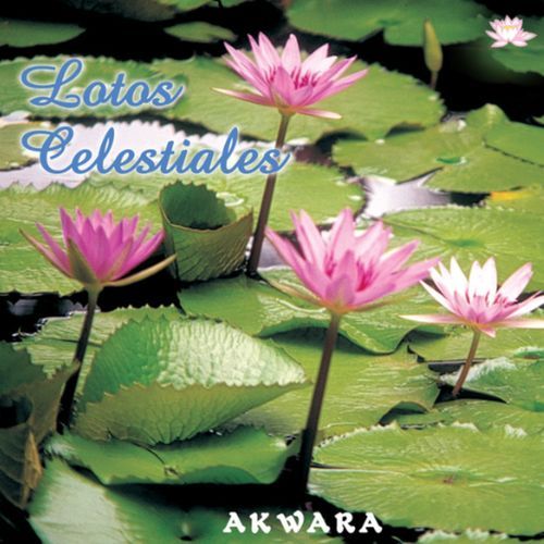 Manantial de Amor cover art