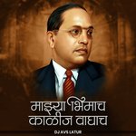 Majhya Bhimach Kalij Waghach (DJ Remix)