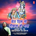 Mera Dil To Deewana Ho Gaya