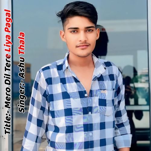 Mero Dil Tere Liya Pagal