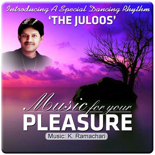 Music For Your Pleasure - Ramachari