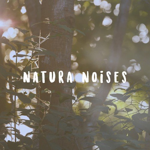 Natura Noises_poster_image