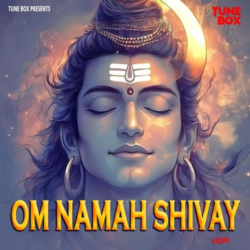 Om Namah Shivay - Lofi