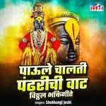 PAULE CHALATI PANDHARICHI VAAT - VITTHAL BHAKTIGEETE