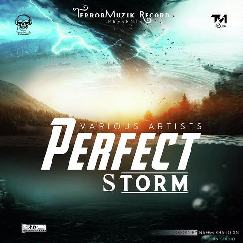 Perfect Storm