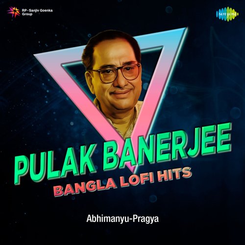 Pulak Banerjee Bangla Lofi Hits