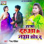 Raja Daruaa Ke Nasha Chhod Da