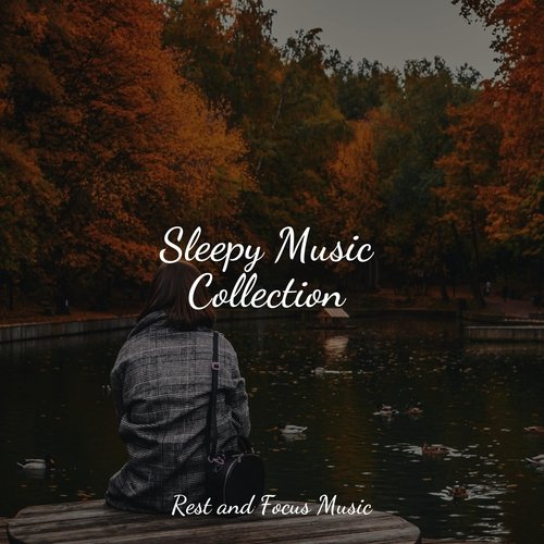 Sleepy Music Collection