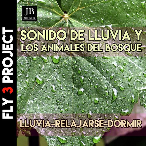 Riflessi di pioggia cover art