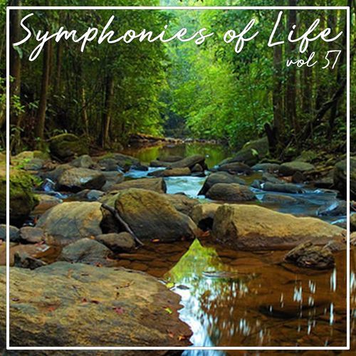 Symphonies of Life, Vol. 57 - Carulli: Guitar Concertos