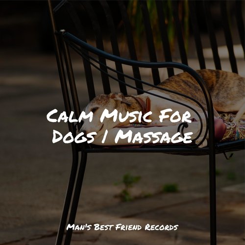 Focused, Relaxed cover art