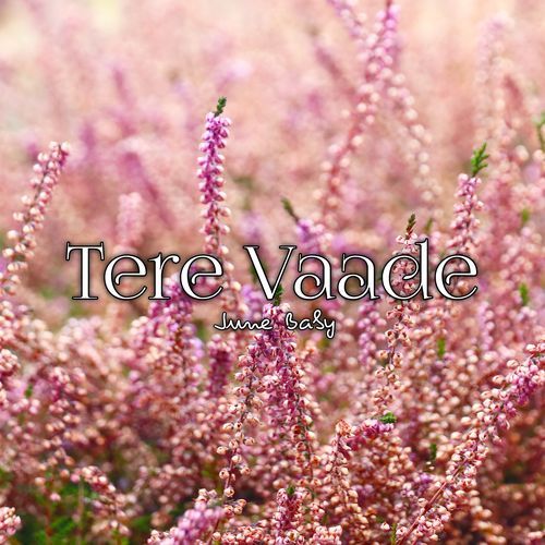 Tere Vaade