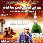 Terey Hotey Janam Liya Hota, Vol. 5