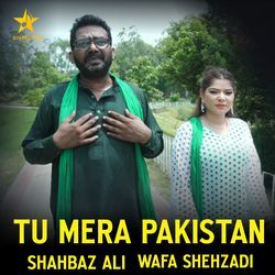 Tu Mera Pakistan-N1kOdhAIQQU