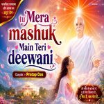 Tu mera mashuk, main Teri deewani artwork