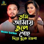 Tumi Amay Vule Gecho Diya Buke Buke Jontrona