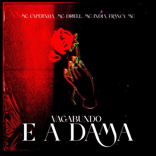 Vagabundo e a Dama_poster_image