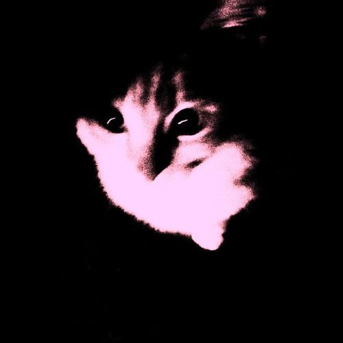 wxrds_xf_lxve cover art