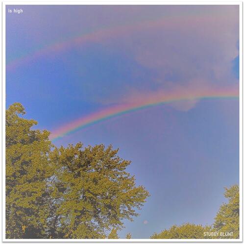 Newton cover art