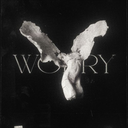 worry (Slowed)