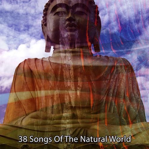 38 Songs Of The Natural World_poster_image